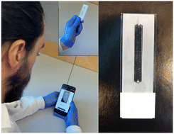 Graphical abstract: Artificial intelligence performance in testing microfluidics for point-of-care