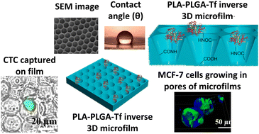 Graphical abstract: Inverse 3D ‘lab-on-a-chip’ polymeric microfilms for selective capture of circulating tumor cells from patients' blood