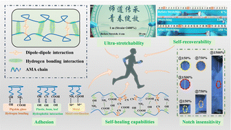 Graphical abstract: Ultra-stretchable, self-recoverable, notch-insensitive, self-healable and adhesive hydrogel enabled by synergetic hydrogen and dipole–dipole crosslinking
