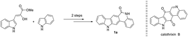 Graphical abstract: A rapid approach towards a specific carbazolelactam system related to calothrixin B