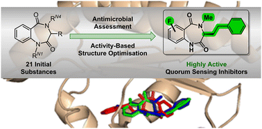 Graphical abstract: Homophenylalanine-derived benzo[1,4]diazepine-2,5-diones are strong bacterial quorum sensing inhibitors