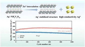 Graphical abstract: Dual effects of Ag+ intercalation boosting the kinetics and stability of NH4V4O10 cathodes for enhanced zinc ion storage