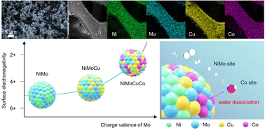 Graphical abstract: A highly active and durable NiMoCuCo catalyst with moderated hydroxide adsorption energy for efficient hydrogen evolution reaction