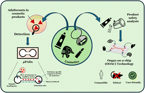 Graphical abstract: Advancements of paper-based microfluidics and organ-on-a-chip models in cosmetics hazards