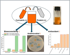 Graphical abstract: Nanocomplexation between curcumin and proteins by charge-switch method for improved physicochemical and biological properties of curcumin