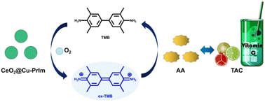 Graphical abstract: Cu-doped and 2-propylimidazole-modified nanoceria (CeO2@Cu-PrIm) oxidase-like nanozyme for total antioxidant capacity assay of fruits