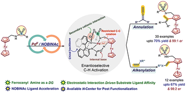 Graphical abstract: Substrate NOBINAc ligand affinity for PdII-catalyzed enantioselective C–H activation over reactive β-C–H bonds in ferrocenyl amines