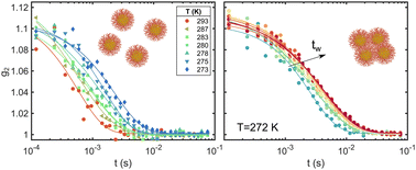 Graphical abstract: In situ aggregation and early states of gelation of gold nanoparticle dispersions