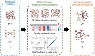 Graphical abstract: Computational prediction of solvation structures in calcium battery electrolytes