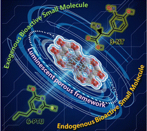 Graphical abstract: A Ni(ii)MOF-based hypersensitive dual-function luminescent sensor towards the 3-nitrotyrosine biomarker and 6-propyl-2-thiouracil antithyroid drug in urine