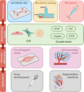 Graphical abstract: Design, fabrication, and application of bioengineering vascular networks based on microfluidic strategies