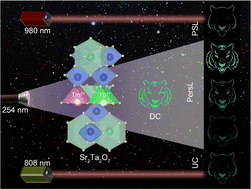 Graphical abstract: Stimulated-source-independent persistent luminescence phosphor Sr2Ta2O7:Tb3+, Tm3+ for multi-mode anti-counterfeiting applications