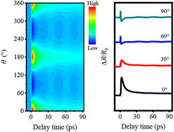 Graphical abstract: Anisotropic ultrafast hot carrier dynamics of two-dimensional SnS single crystals