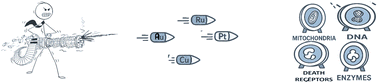 Graphical abstract: Biochemical assays for evaluating anticancer activity and validating mechanisms of action in coordination/organometallic compounds: a review