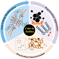 Graphical abstract: Coke-induced deactivation in zeolite catalysts: mechanisms, anti-coking modifications, and regeneration approaches