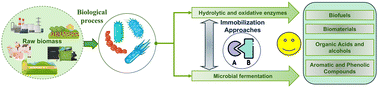 Graphical abstract: Enzyme immobilization advances: a key to unlocking renewable bioenergy potential