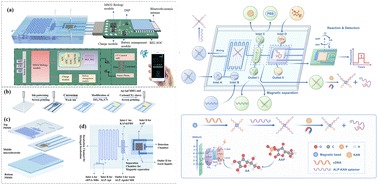 Graphical abstract: Magnetic–enzymatic synergy driven photoelectrochemical aptasensor on a microfluidic chip for sub-pM kanamycin detection