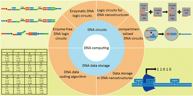 Graphical abstract: DNA computing: DNA circuits and data storage