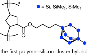 Graphical abstract: Polynorbornene with silicon cluster pendant groups