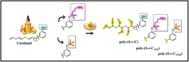Graphical abstract: Tuning the properties of polysulfides using functionalised cardanol crosslinkers