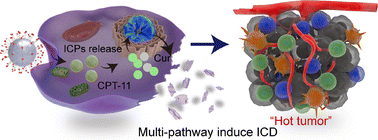 Graphical abstract: Based on multi-pathway induction of tumor immunogenic death and three-mode highly integrated strategy: a nanocomposite system loaded with irinotecan for colorectal cancer therapy