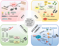 Graphical abstract: Advances in hydrogels combined with photothermal/photodynamic therapy for bacterial infection