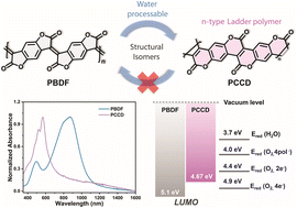 Graphical abstract: Poly(chromenochromenedione) (PCCD): a structural isomer of poly(benzodifurandione) (PBDF)