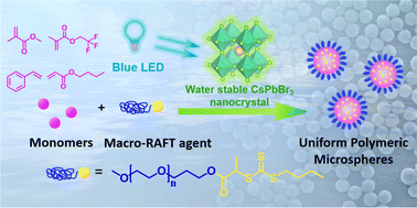 Graphical abstract: Water stable perovskite nanocrystals for highly efficient photoinduced RAFT dispersion polymerization
