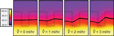 Graphical abstract: Flow-induced thermal effects on spatial DNA melting