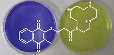 Graphical abstract: Exploring synthetic avenues for the effective synthesis of selenium- and tellurium-containing multifunctional redox agents