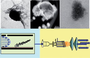 Graphical abstract: Field-flow fractionation and inductively coupled plasma mass spectrometer coupling: History, development and applications