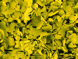 Graphical abstract: A two-step temperature-raising process to gold nanoplates with optical and surface enhanced Raman spectrum properties