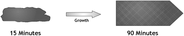 Graphical abstract: The interplay of crystallization kinetics and morphology during the formation of SnO2 nanorods: snapshots of the crystallization from fast microwave reactions
