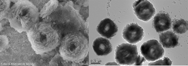 Graphical abstract: Ultrasound assisted self-assembly of a BaF2 hollow nest-like nanostructure