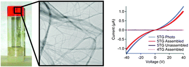 Graphical abstract: Self-assembly and conductivity of hydrogen-bonded oligothiophene nanofiber networks