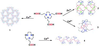 Graphical abstract: Structural diversity of transition-metal complexes derived from N-propionic acid functionalized 1,4,7-triazacyclononane: From enchanting cluster motifs to unprecedented homometallic polymeric networks