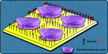 Graphical abstract: Biomimetic ZnO plate twin-crystals periodical arrays