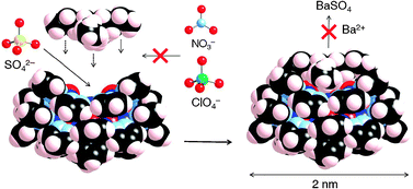 Graphical abstract: Selective total encapsulation of the sulfate anion by neutral nano-jars