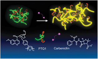 Graphical abstract: A polythiophene-derived ratiometric fluorescent sensor for highly sensitive determination of carbenicillin in aqueous solution