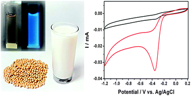 Graphical abstract: Bifunctional fluorescent carbon nanodots: green synthesis via soy milk and application as metal-free electrocatalysts for oxygen reduction