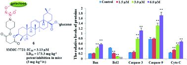 Graphical abstract: Glycosylated diazeniumdiolate-based oleanolic acid derivatives: synthesis, in vitro and in vivo biological evaluation as anti-human hepatocellular carcinoma agents