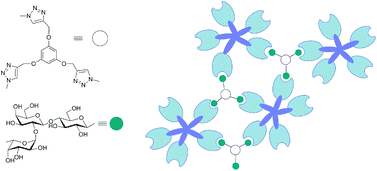Graphical abstract: Bi- to tetravalent glycoclusters: synthesis, structure–activity profiles as lectin inhibitors and impact of combining both valency and headgroup tailoring on selectivity