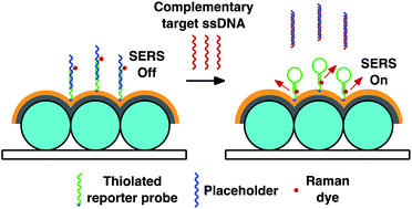 Graphical abstract: DNA bioassay-on-chip using SERS detection for dengue diagnosis