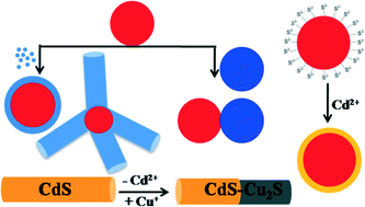 Graphical abstract: Seeded-growth, nanocrystal-fusion, ion-exchange and inorganic-ligand mediated formation of semiconductor-based colloidal heterostructured nanocrystals