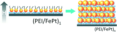 Graphical abstract: Layer-by-layer assembly of L10-FePt nanoparticles with significant perpendicular magnetic anisotropy