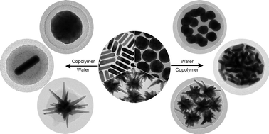 Graphical abstract: A general approach toward polymer-coated plasmonic nanostructures