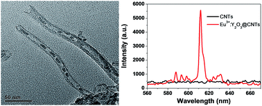 Graphical abstract: Eu3+:Y2O3@CNTs—a rare earth filled carbon nanotube nanomaterial with low toxicity and good photoluminescence properties