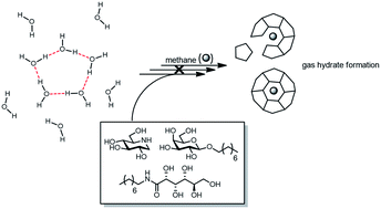 Graphical abstract: Inhibiting gas hydrate formation using small molecule ice recrystallization inhibitors
