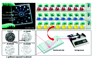 Graphical abstract: An on-chip pollutant toxicity determination based on marine microalgal swimming inhibition