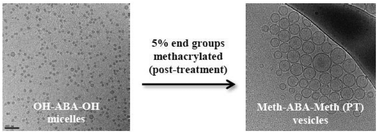 Graphical abstract: Terminal groups control self-assembly of amphiphilic block copolymers in solution